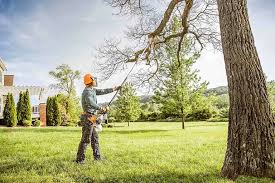 Best Lawn Mowing  in Chualar, CA
