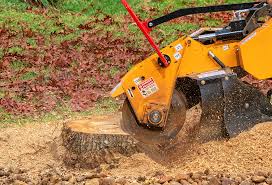 How Our Tree Care Process Works  in  Chualar, CA