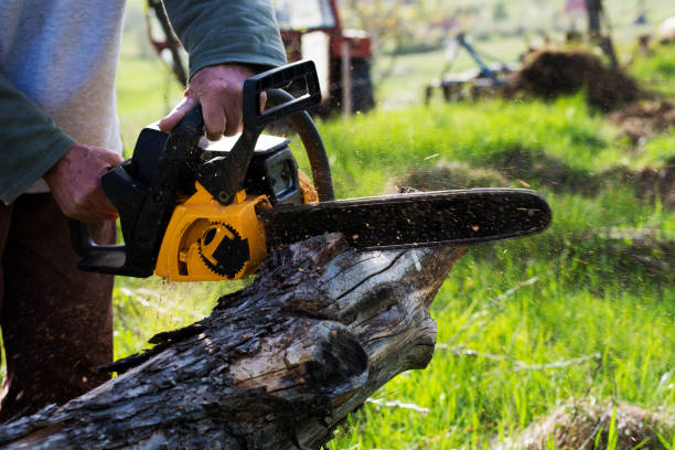 Best Lot and Land Clearing  in Chualar, CA